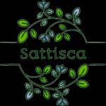 sattisca tapetea Profile Picture