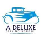 Deluxe Driving Profile Picture