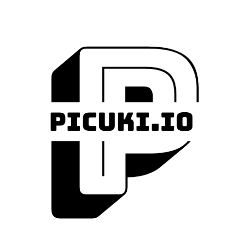 Picuki - Visualizzatore anonimo di storie di Instagram & Downloader