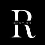 Roma Exotic Profile Picture