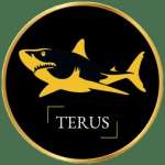 Terus Technology profile picture