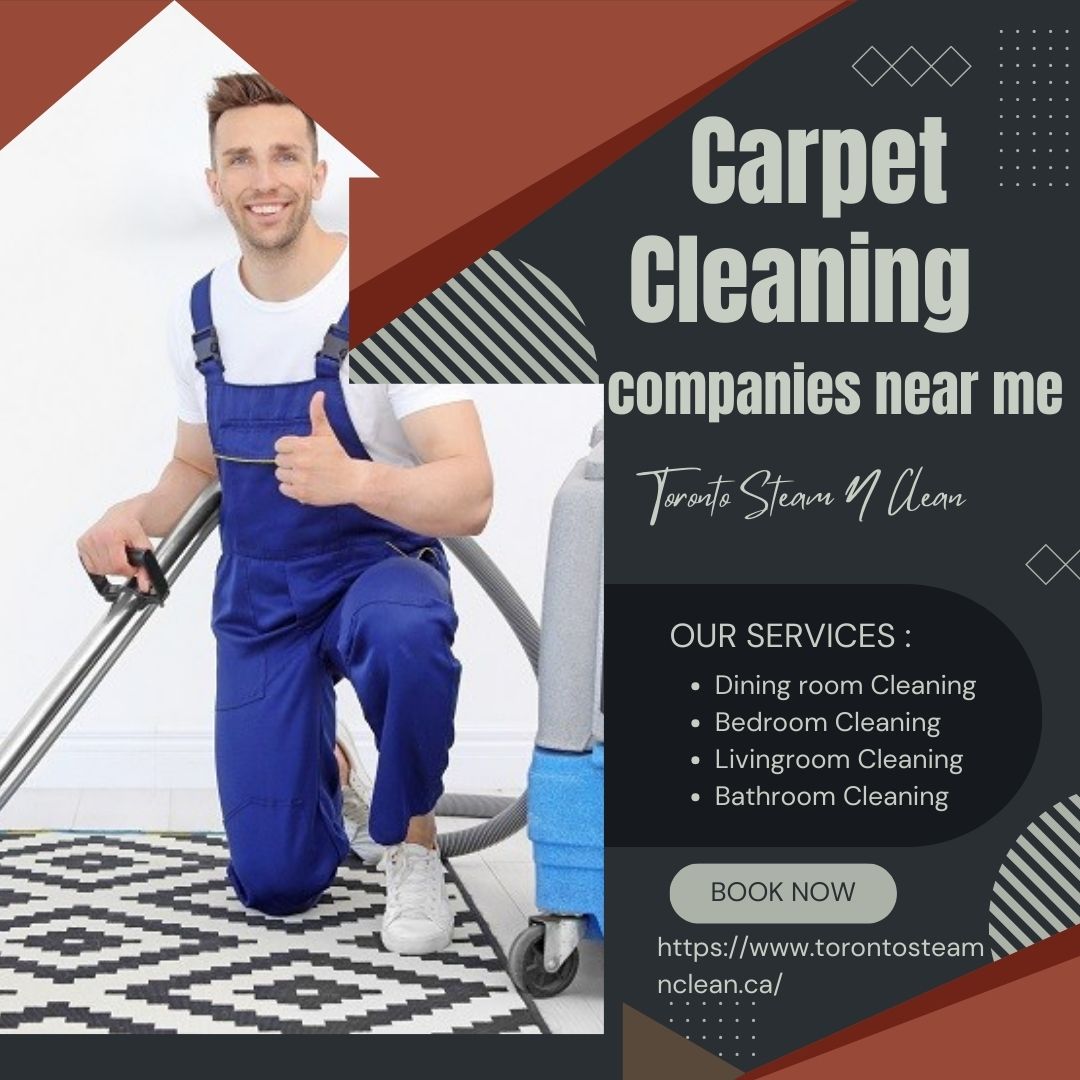 4 Things You Must Look for When Choosing Carpet Cleaning Companies Near Me – Toronto Steam N Clean