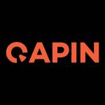 Qapin Inc Profile Picture