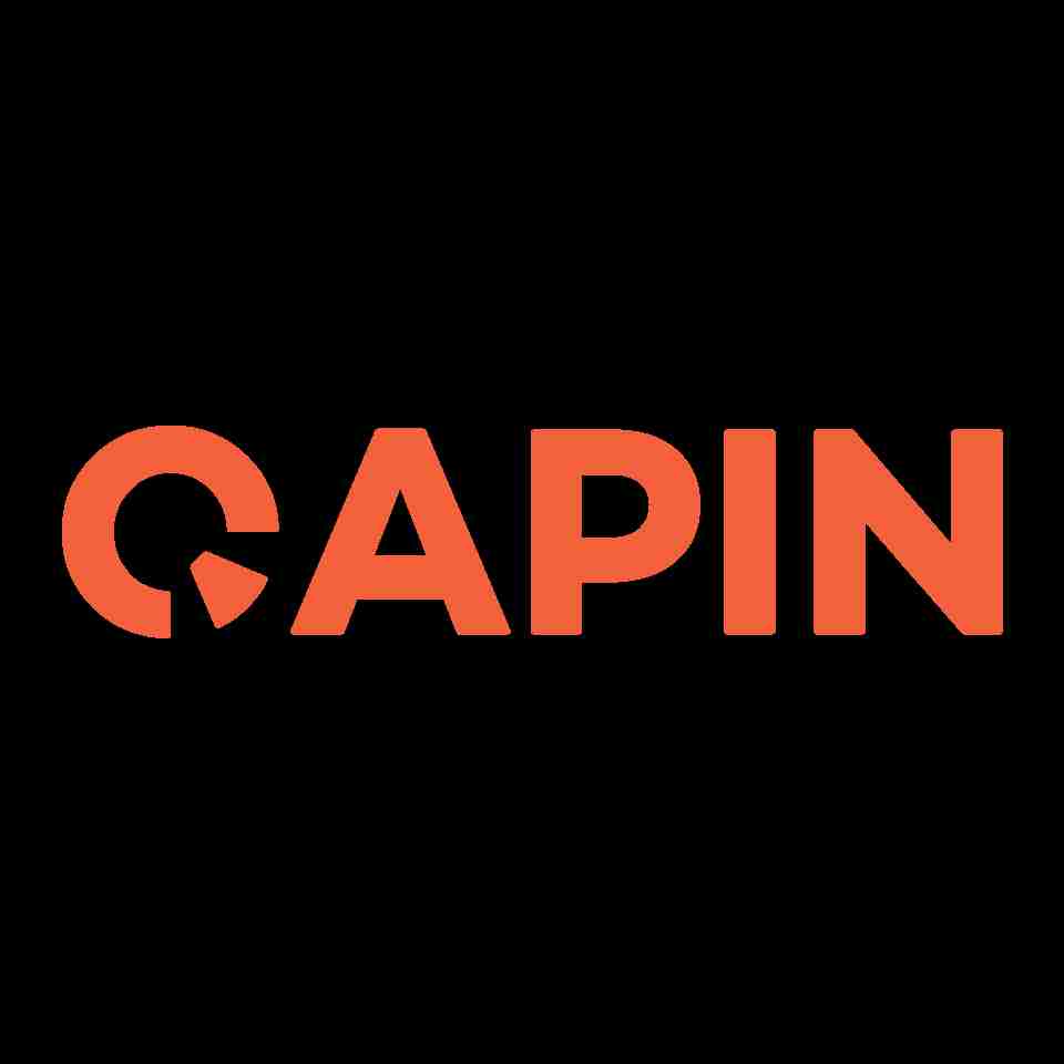 Qapin Inc Profile Picture