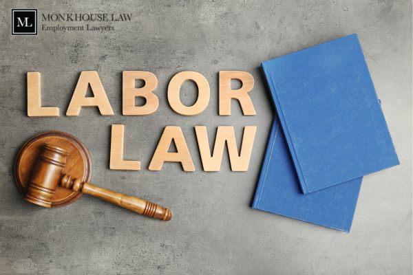 Everything You Need to Consider While Hiring a Knowledgeable and Experienced Labour Lawyer Toronto | TheAmberPost