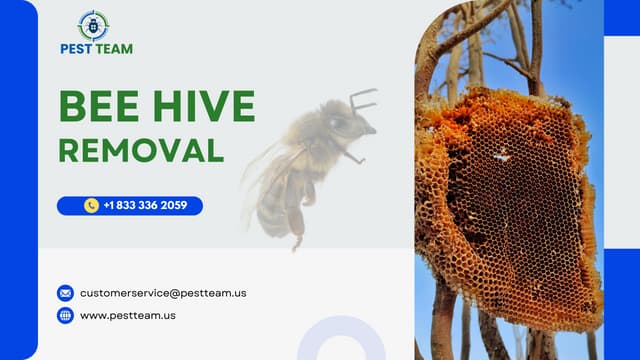 Bee Hive pest control in USA with Pest Team | PPT