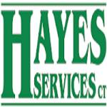 hayesservices Profile Picture