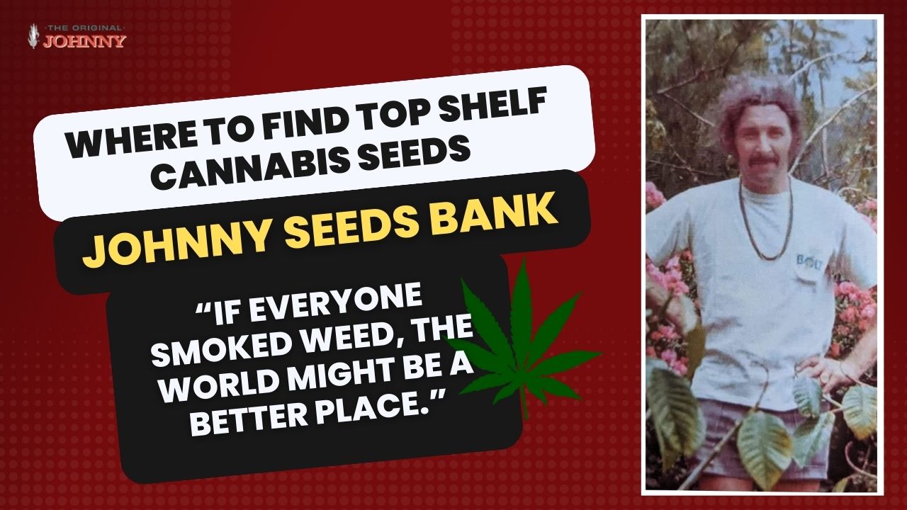 Affordable Options: Where to Find Cheap Cannabis Seeds - The Johnny Seeds Bank