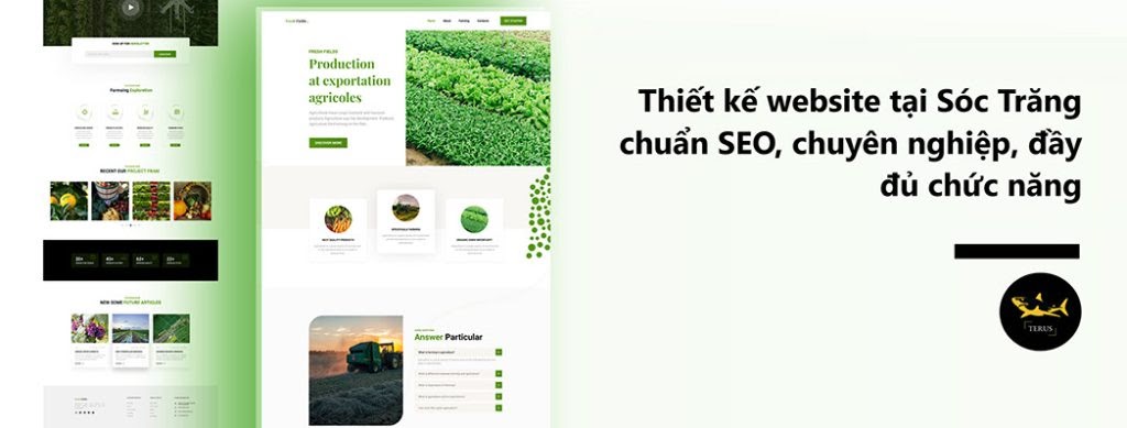 Thiết kế website Sóc Trăng - Liệu các doanh nghiệp có nên hay không?