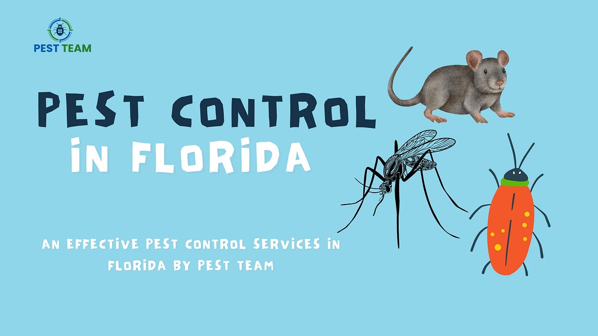 Pest Control In Florida. Florida is a beautiful place. The… | by Pest Team | May, 2024 | Medium