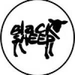 Black sheep 023 Profile Picture
