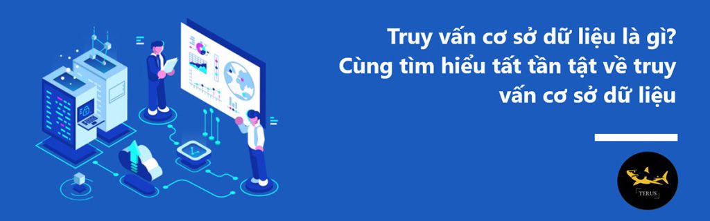 Hướng dẫn truy vấn cơ sở dữ liệu cho người mới bắt đầu mới nhất nằm 2024