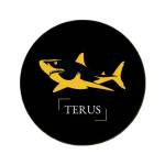 Thiết Kế Website Chuyên Nghiệp Tại Terus Profile Picture