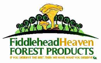 Fiddlehead Heaven Profile Picture