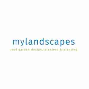 Mylandscapes Profile Picture