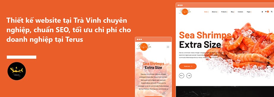 Thiết kế website liệu có đáng để đầu tư cho các việc kinh doanh tại Trà Vinh