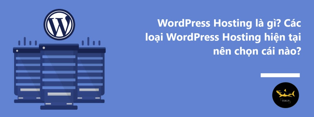 Wordpress Hosting - Điều bạn phải biết trước khi sử dụng website từ Wordpress trong năm 2024