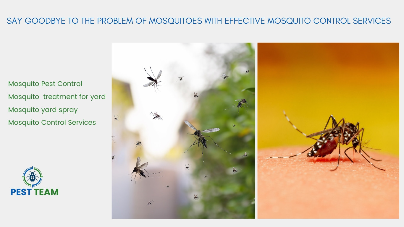 Effective Mosquito Control Services