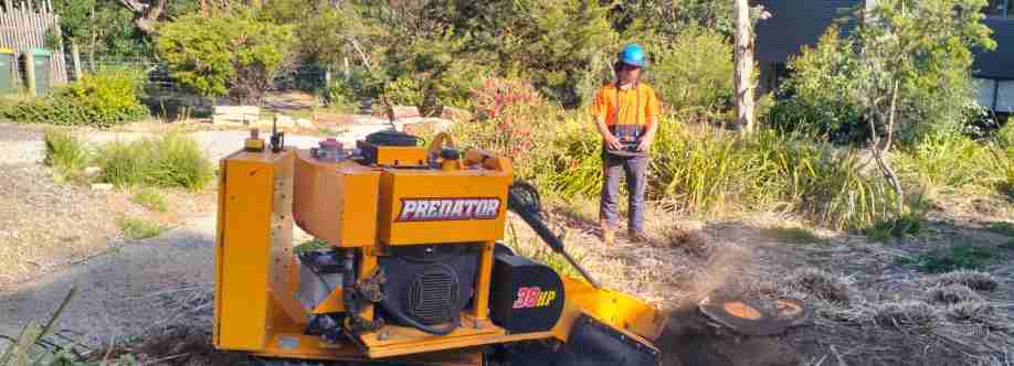 Stump Grinding Geelong Cover Image