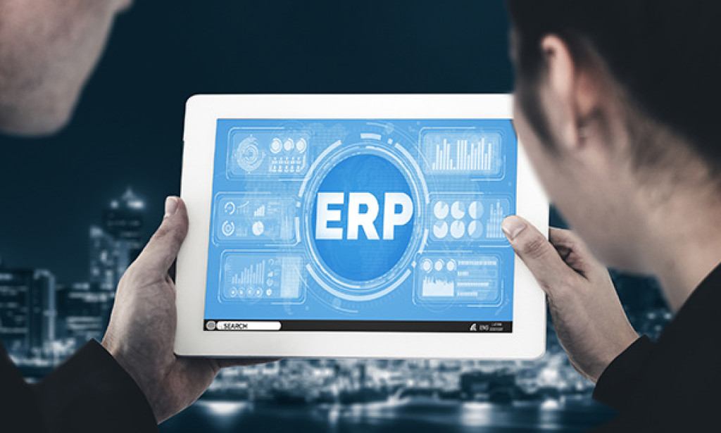 What is the Role of an ERP Company in India?