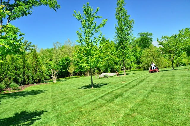 Is It Worth Paying for Lawn Care?
