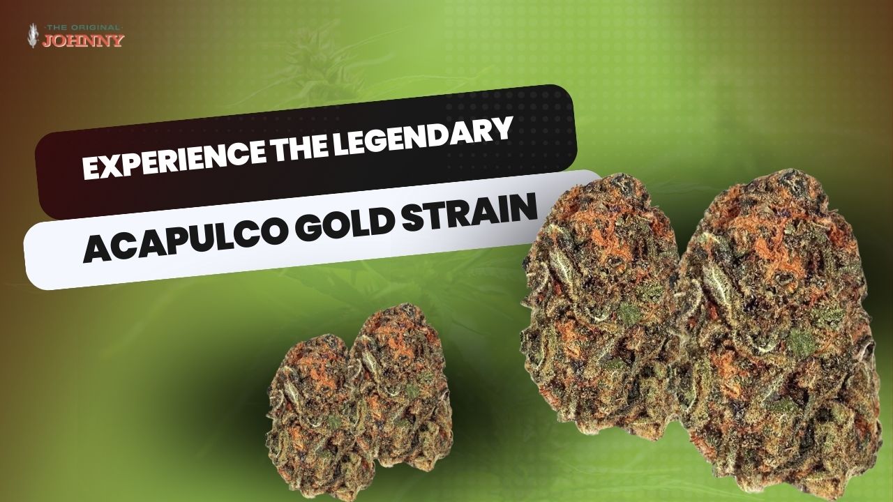 Experience the Legendary Acapulco Gold Strain - The Johnny Seeds Bank