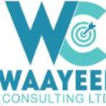 Waayeel Consulting Profile Picture
