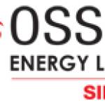 OSS FZC Energy Logistics Profile Picture
