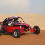 ESA Tours Dune Buggy Dubai Profile Picture
