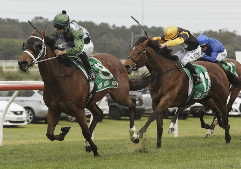 Why Horse Racing Betting Is a Test of Analytical Skills and Instincts