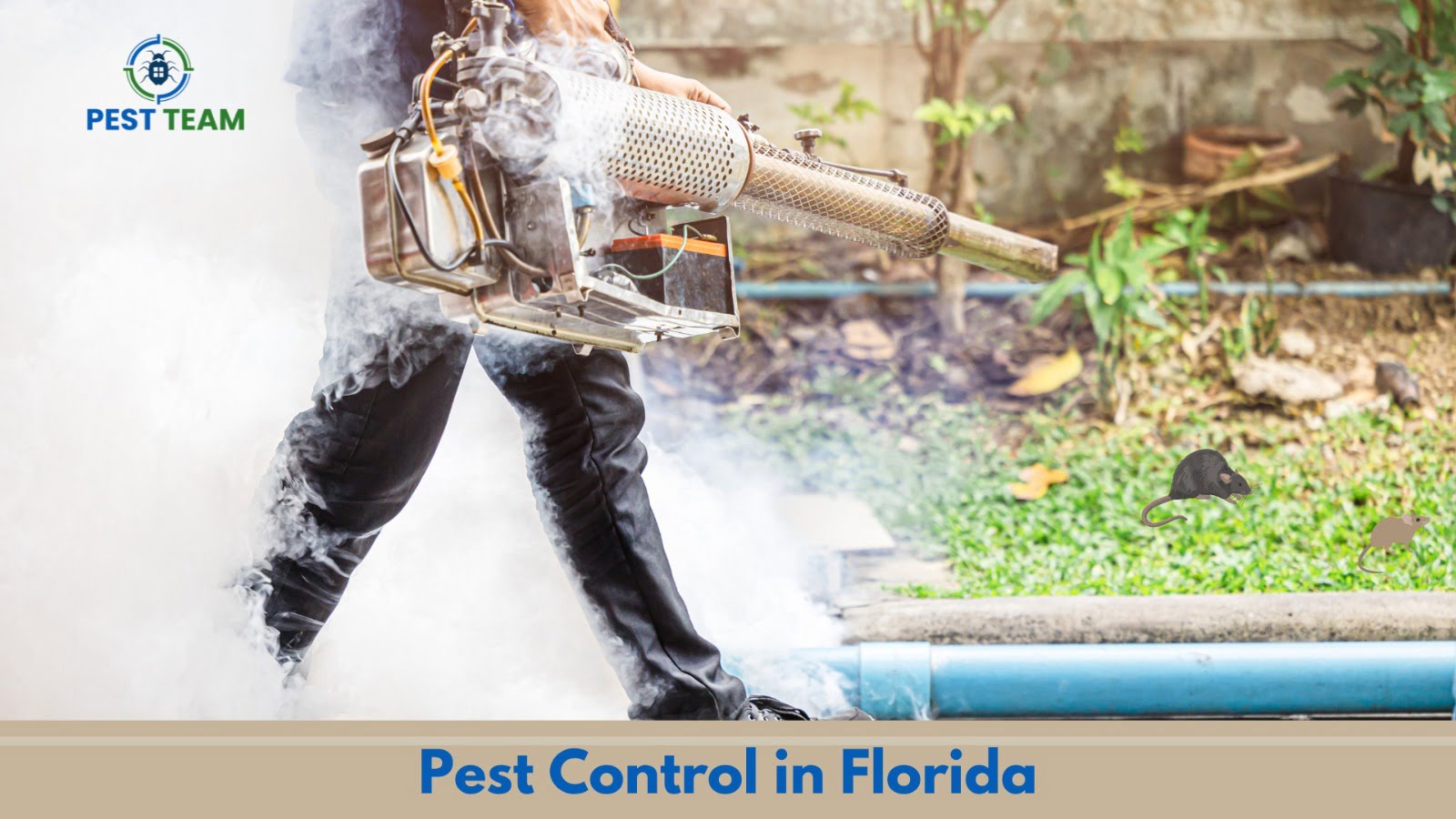 Benefits of Regular Pest Control Maintenance for Florida Homes