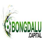 Bongdalu Capital Profile Picture