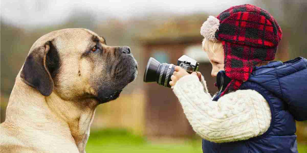 Snapshots of Love: Pet Photography Made Easy