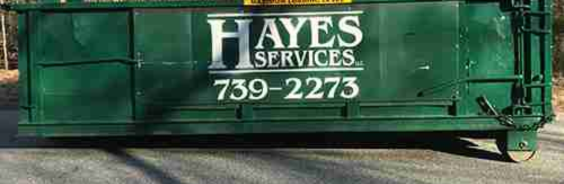 hayesservices Cover Image