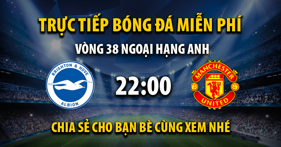 Link trực tiếp Brighton vs Manchester Utd 22:00, ngày 19/05 - Andromda.org