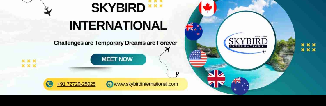 Skybird International Cover Image