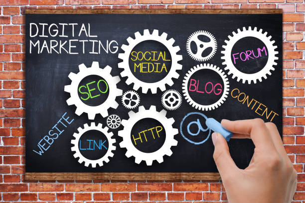 Empowering Businesses: Digital Marketing in Delhi, India – Site Title