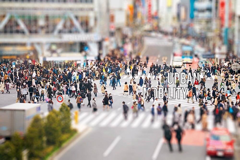 The World’s Most Crowded Cities: Urban Giants and Their Challenges - APM Logix