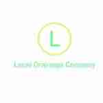 localdrainagecompany Profile Picture