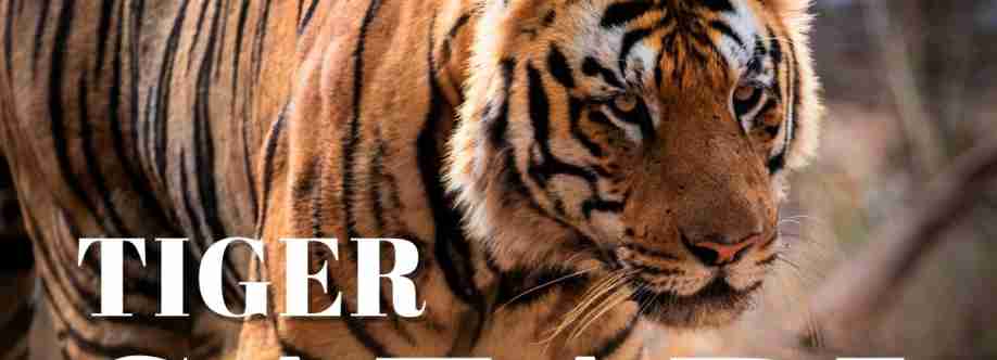 wildlife safari in India Cover Image