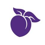 drtush Profile Picture