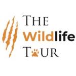 wildlife safari in India Profile Picture