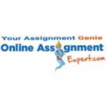 Online Assignment Expert Profile Picture