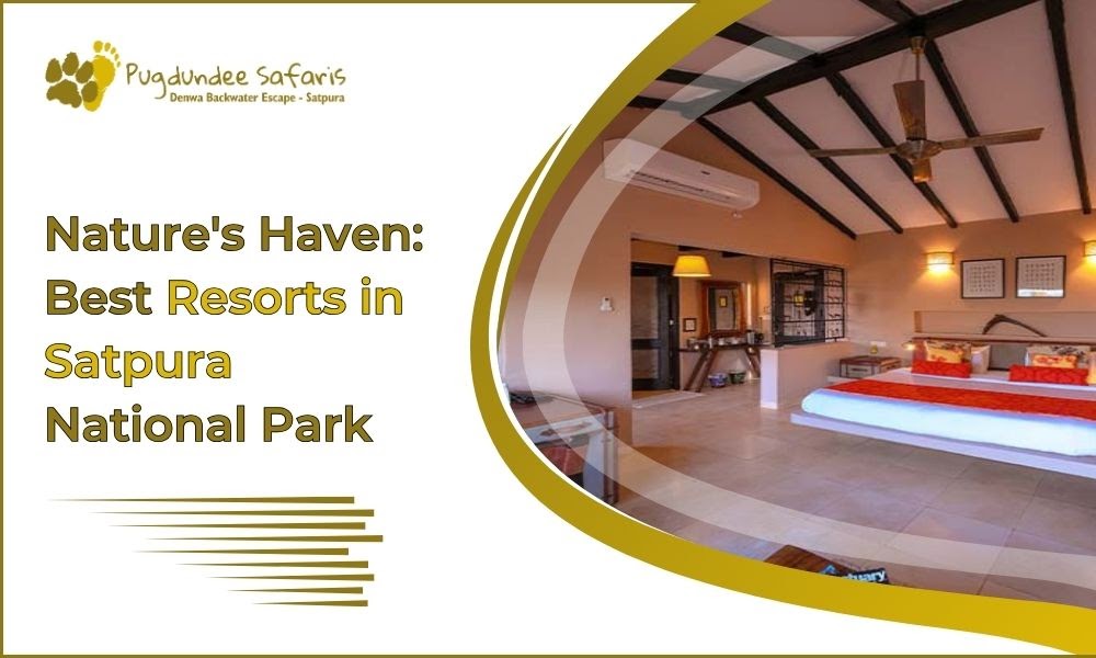 Nature's Haven: Best Resorts in Satpura National Park