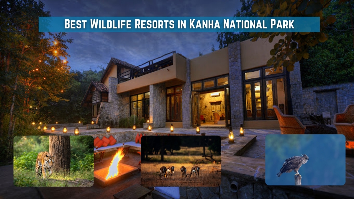 Best Wildlife Resorts in Kanha National Park – Site Title