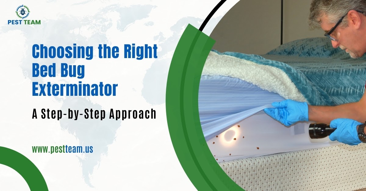 Choosing the Right Bed Bug Exterminator: A Step-by-Step Approach