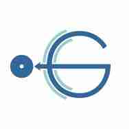 Ichelon Consulting Group Profile Picture