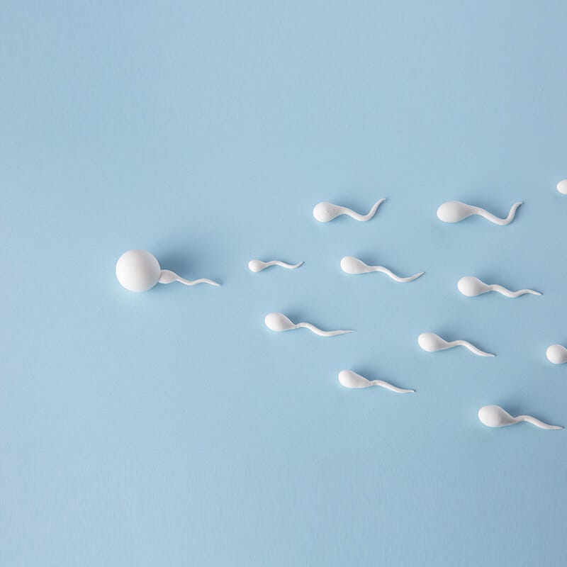 10 Ways to Boost Male Fertility and Increase Sperm Count | by Dr. Rhythm Gupta | Jun, 2024 | Medium