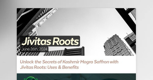 Premium Kashmir Mogra Saffron: Elevate Your Culinary and Health Experience