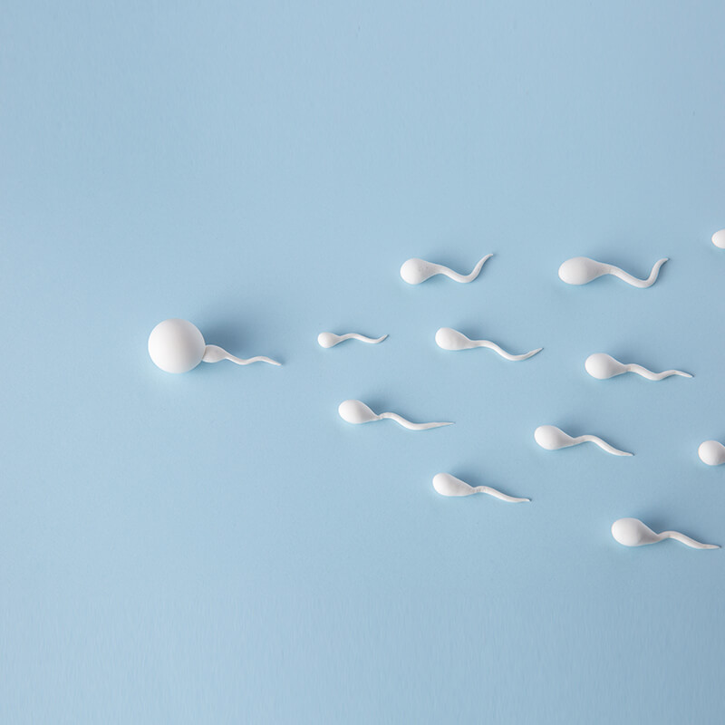 10 Ways to Boost Male Fertility and Increase Sperm Count
